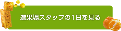 選果場スタッフボタン